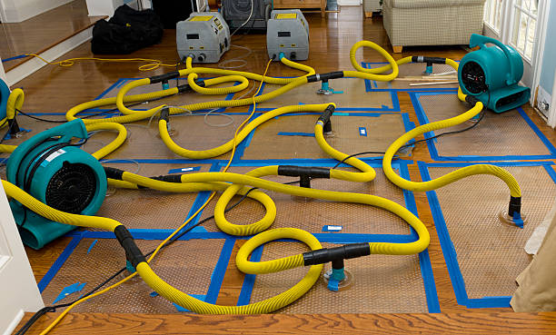 Professional Water Damage Repair technician working in Branch, MI